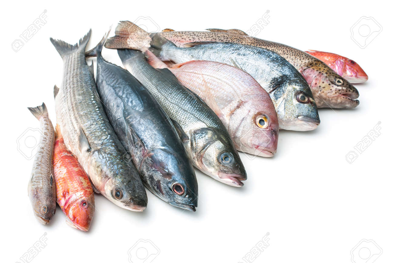Poissons Frais